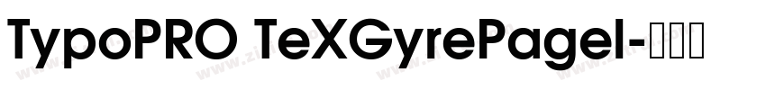 TypoPRO TeXGyrePagel字体转换